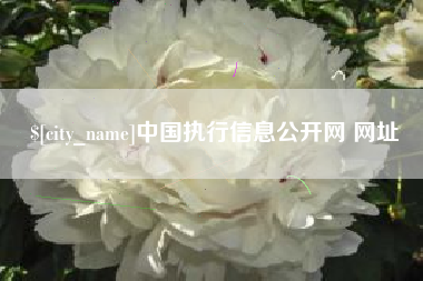 阳谷中国执行信息公开网 网址