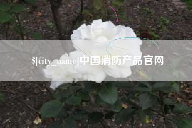 阳谷中国消防产品官网