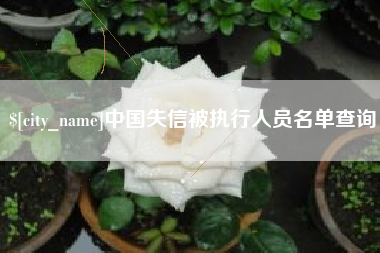 阳谷中国失信被执行人员名单查询