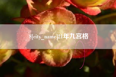 阳谷21年九宫格