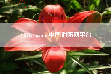 阳谷中国消防网平台