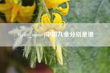 阳谷中国九金分别是谁