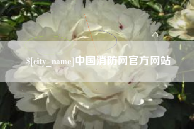 阳谷中国消防网官方网站