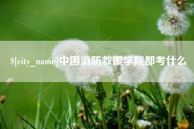 阳谷中国消防救援学院都考什么