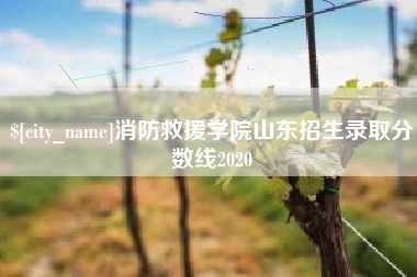 阳谷消防救援学院山东招生录取分数线2020