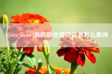 阳谷消防职业资格证书怎么查询