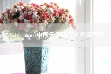 阳谷中国失信执行人查询官网