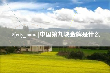 阳谷中国第九块金牌是什么