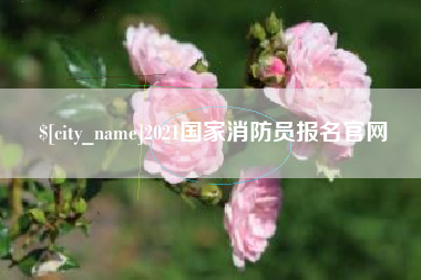 阳谷2021国家消防员报名官网