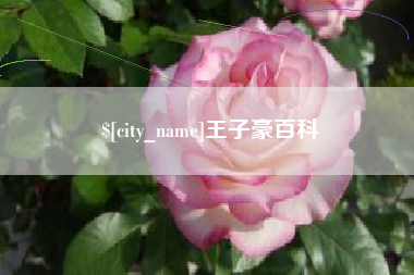 阳谷王子豪百科
