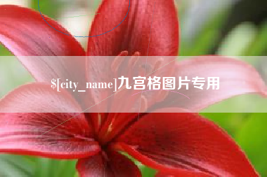 阳谷九宫格图片专用