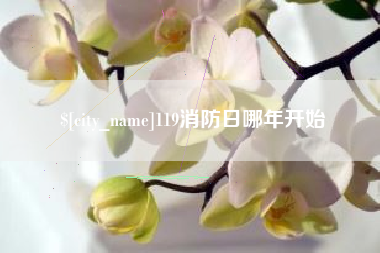 阳谷119消防日哪年开始