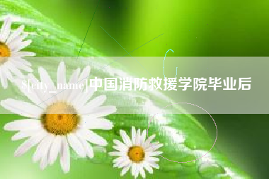 阳谷中国消防救援学院毕业后