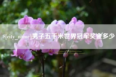 阳谷男子五千米世界冠军奖金多少