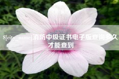 阳谷消防中级证书电子版查询多久才能查到