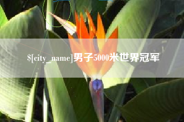 阳谷男子5000米世界冠军