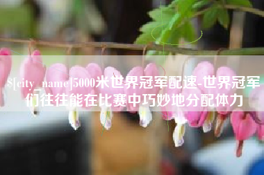 阳谷5000米世界冠军配速-世界冠军们往往能在比赛中巧妙地分配体力