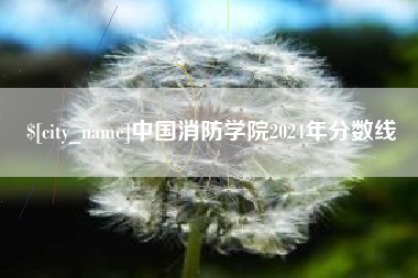 阳谷中国消防学院2024年分数线