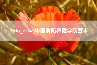 阳谷中国消防救援学院要求