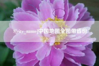 阳谷中国地图全图带省份