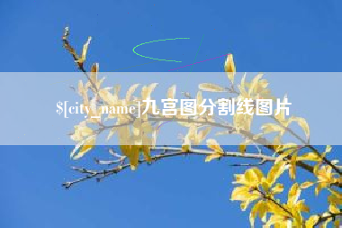 阳谷九宫图分割线图片