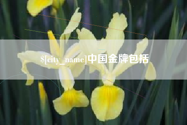 阳谷中国金牌包括