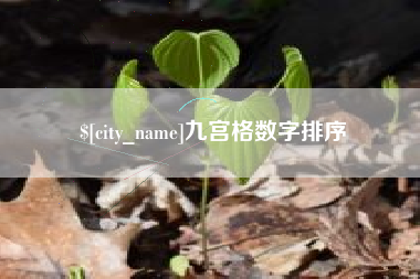 阳谷九宫格数字排序