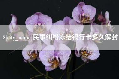 阳谷民事纠纷冻结银行卡多久解封