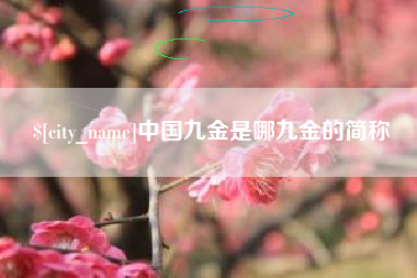 阳谷中国九金是哪九金的简称