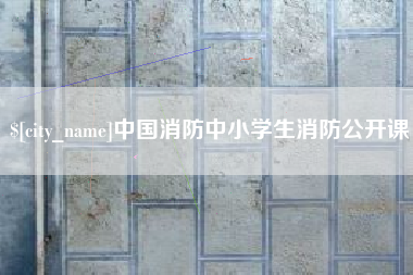 阳谷中国消防中小学生消防公开课
