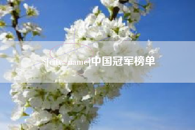 阳谷中国冠军榜单