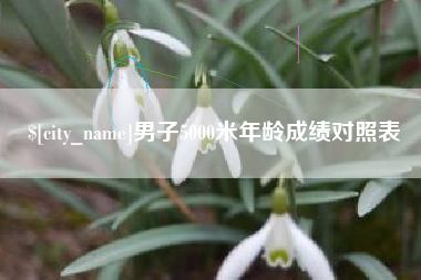 阳谷男子5000米年龄成绩对照表
