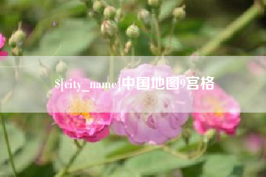 阳谷中国地图9宫格