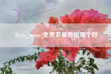 阳谷免费卫星地图哪个好