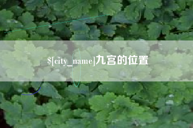 阳谷九宫的位置