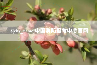 阳谷中国消防报考中心官网
