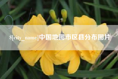 阳谷中国地图市区县分布图片