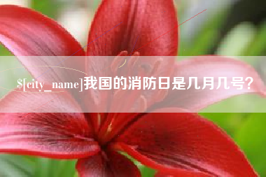 阳谷我国的消防日是几月几号？