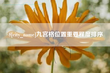 阳谷九宫格位置重要程度排序