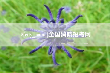 阳谷全国消防招考网