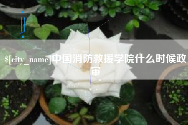 阳谷中国消防救援学院什么时候政审