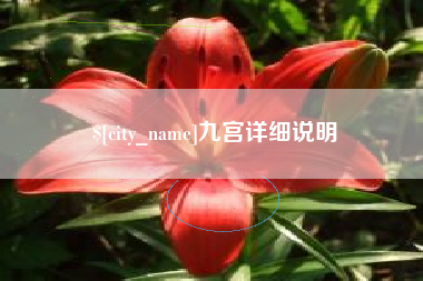 阳谷九宫详细说明