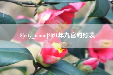 阳谷2021年九宫对照表