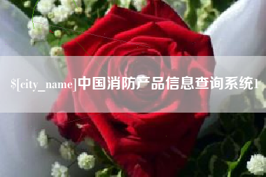 阳谷中国消防产品信息查询系统1