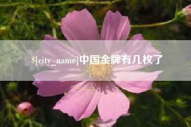阳谷中国金牌有几枚了