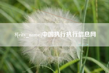 阳谷中国执行执行信息网