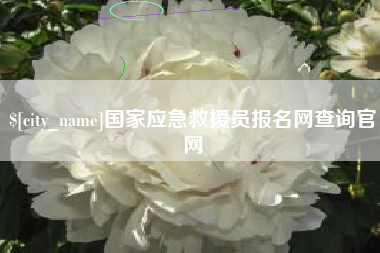 阳谷国家应急救援员报名网查询官网