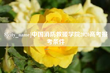 阳谷中国消防救援学院2020高考报考条件