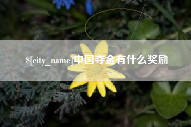 阳谷中国夺金有什么奖励