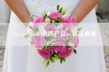 阳谷消防产品ccc认证查询